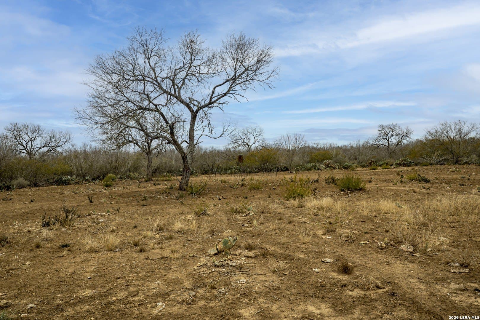 17.27 acres in Frio County - photo 7