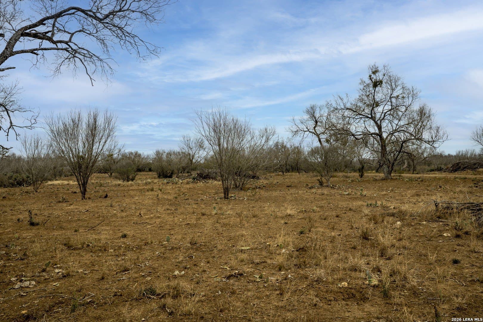 17.27 acres in Frio County - photo 10