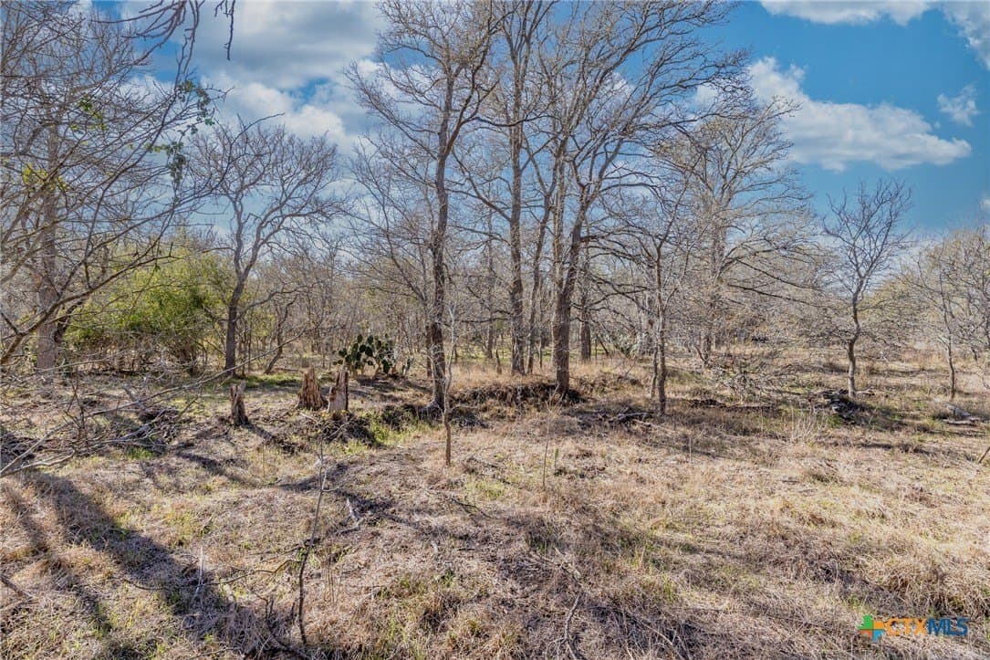 10.5 acres in Gonzales County - photo 4
