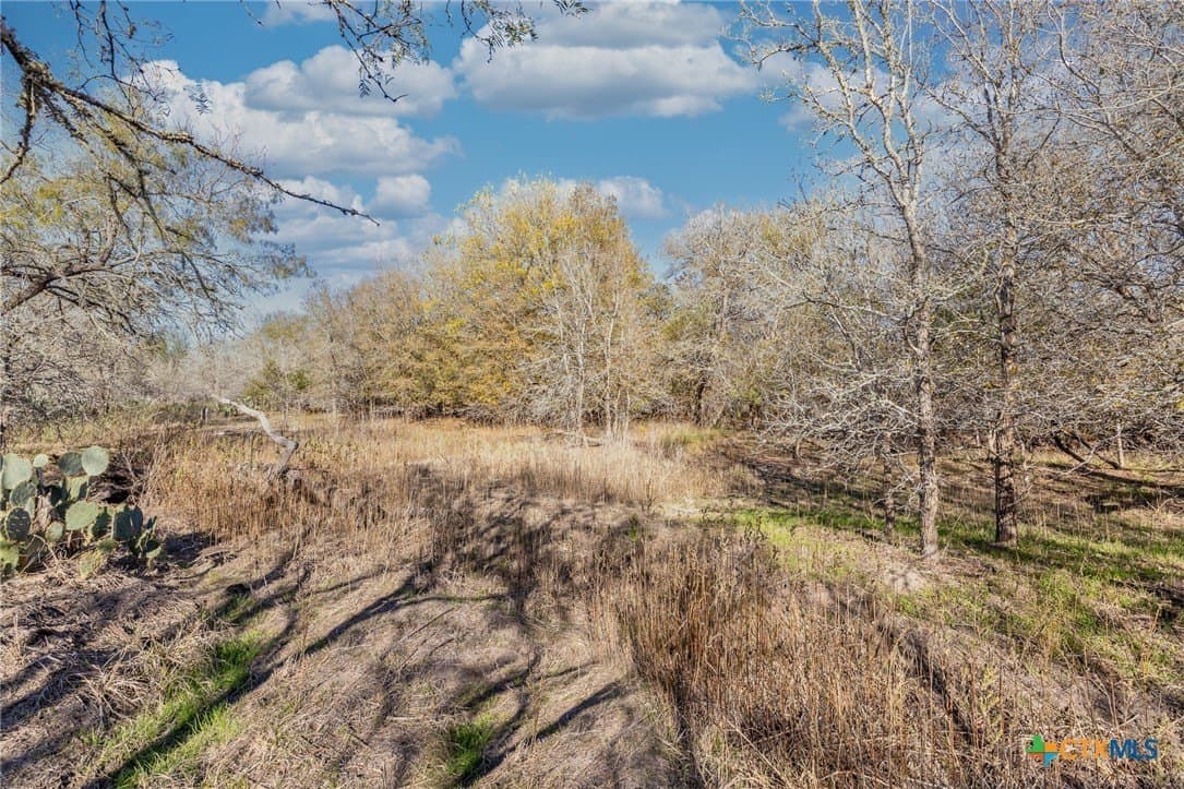 10.5 acres in Gonzales County - photo 9