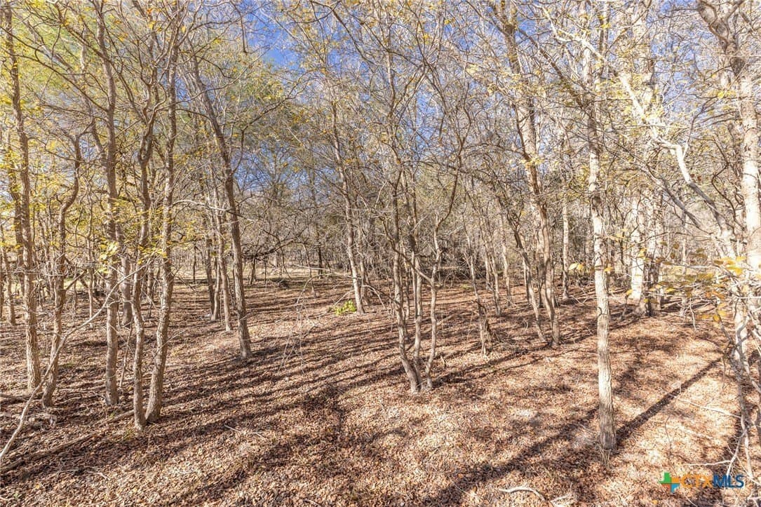 10.5 acres in Gonzales County - photo 2