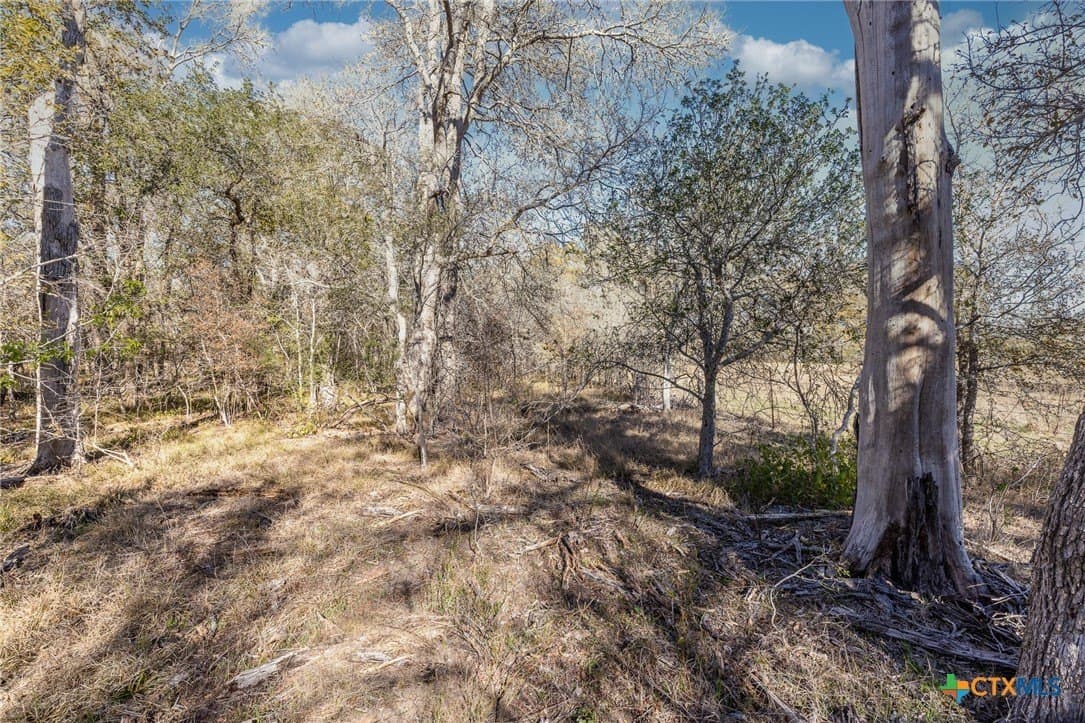 10.5 acres in Gonzales County - photo 3