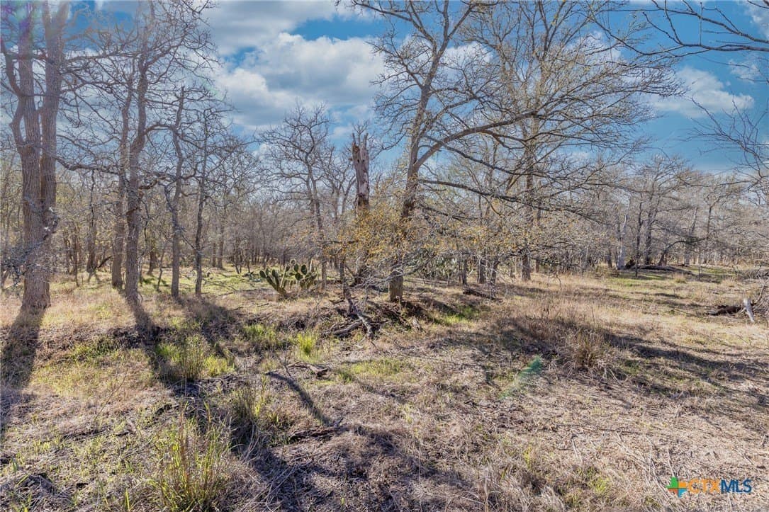 10.5 acres in Gonzales County - photo 5