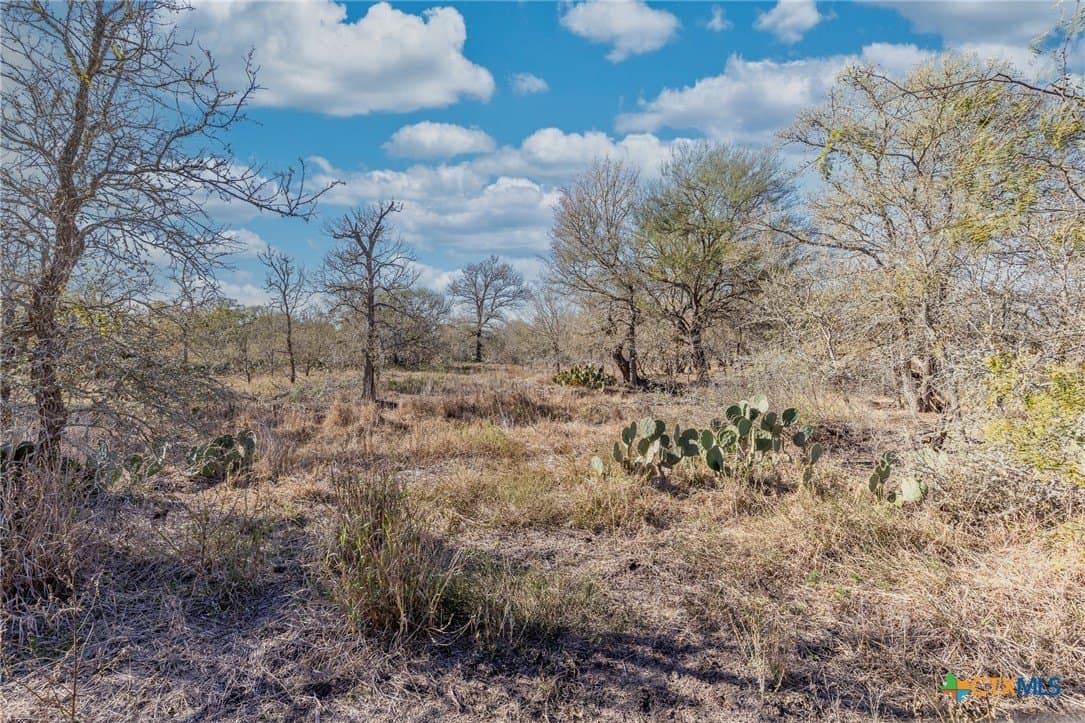 10.5 acres in Gonzales County - photo 7