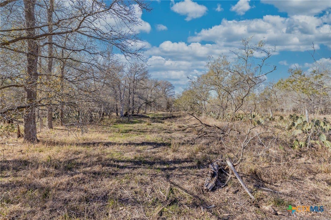 10.5 acres in Gonzales County - photo 6