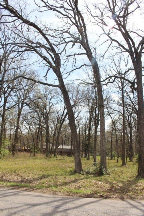 0.26 acres in Henderson County - photo 2