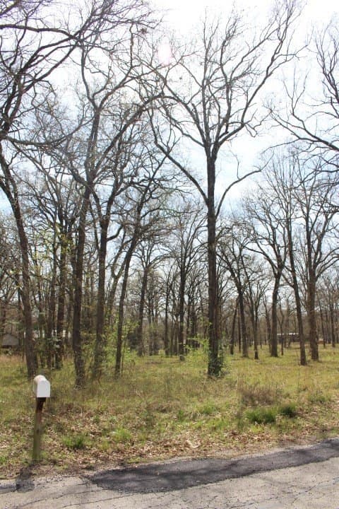 0.26 acres in Henderson County - photo 4
