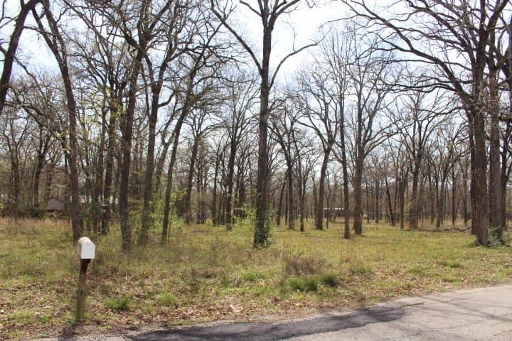 0.26 acres in Henderson County - photo 3