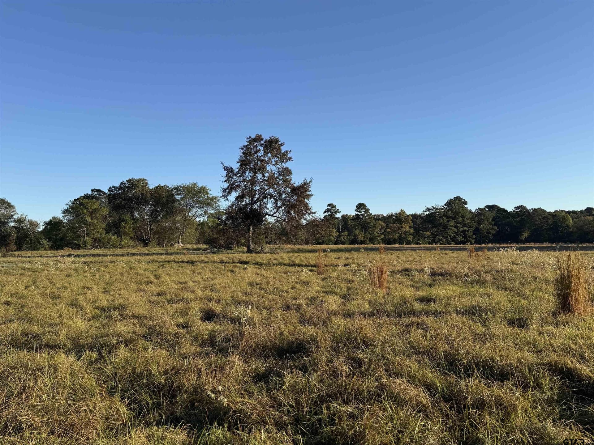 10 acres in Rusk County - photo 4