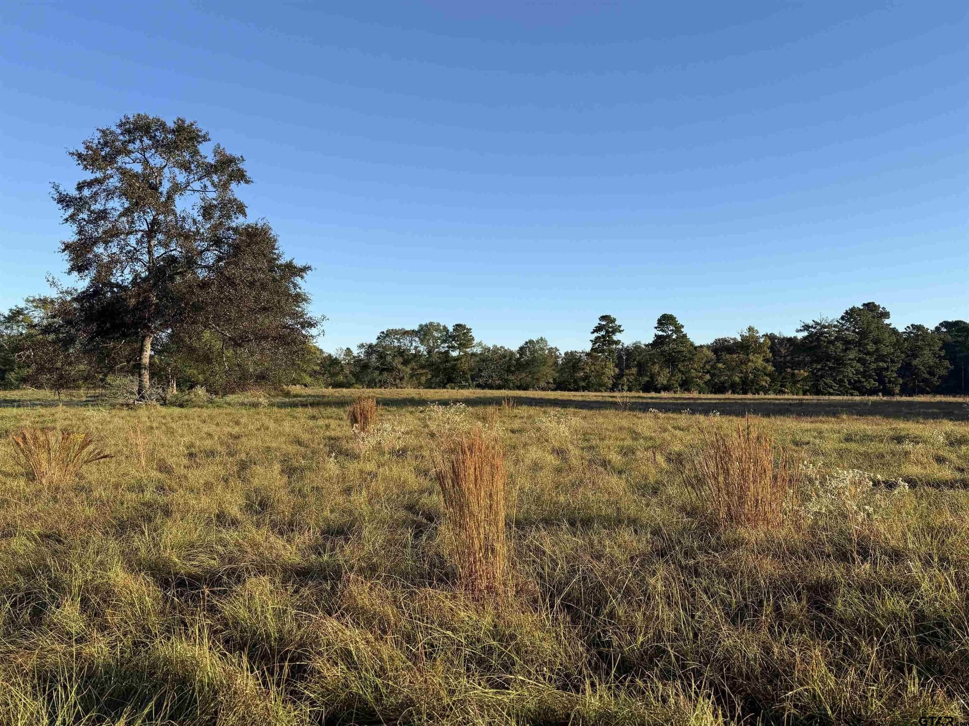 10 acres in Rusk County - photo 3