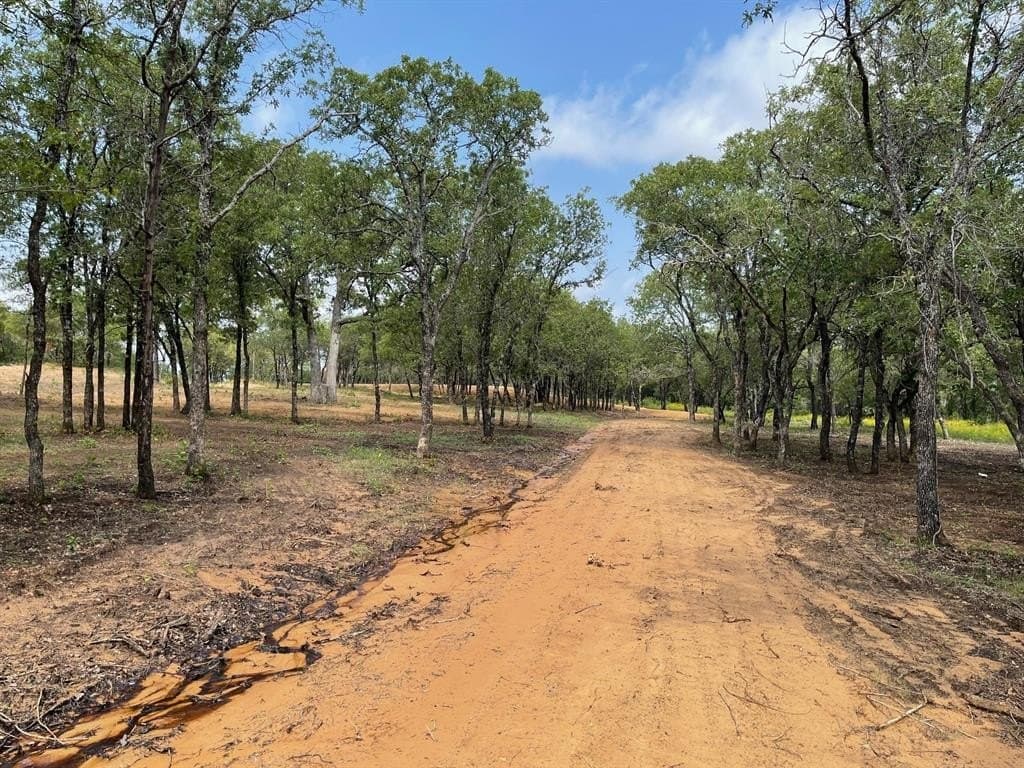 6.61 acres in Palo Pinto County - photo 5