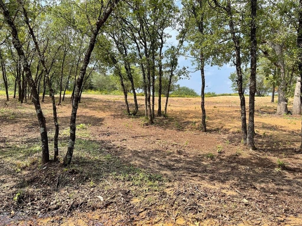 6.61 acres in Palo Pinto County - photo 8