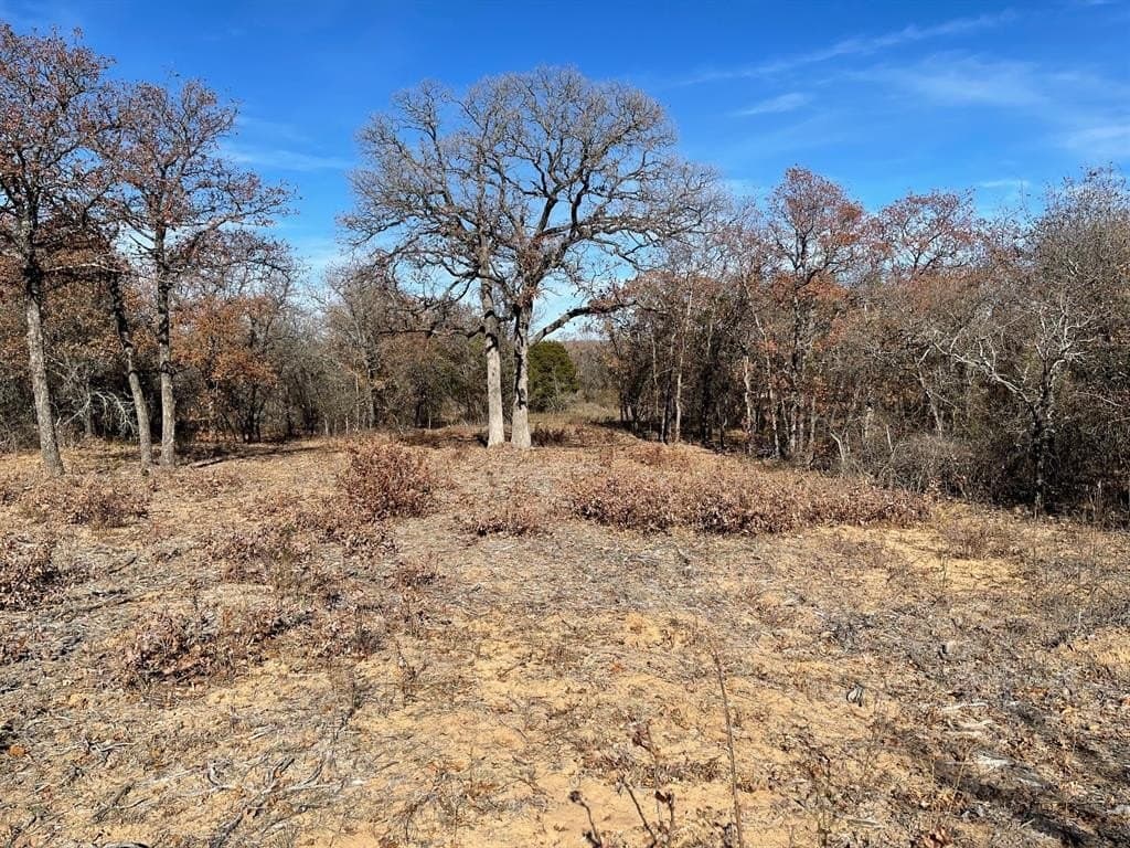6.61 acres in Palo Pinto County - photo 6