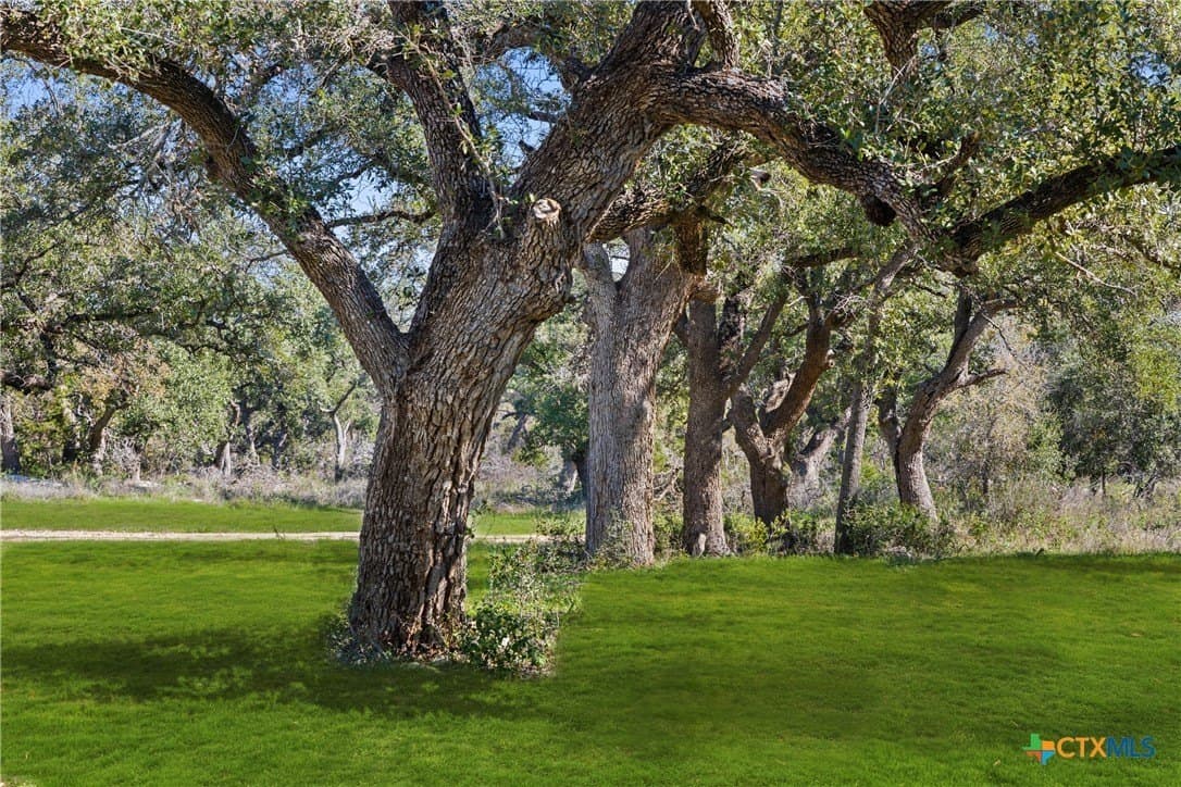 51.7 acres in Hays County - photo 35