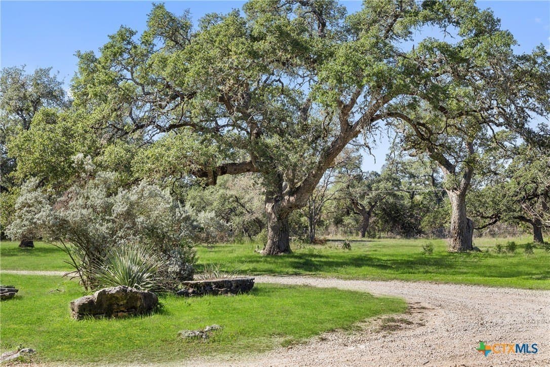 51.7 acres in Hays County - photo 24
