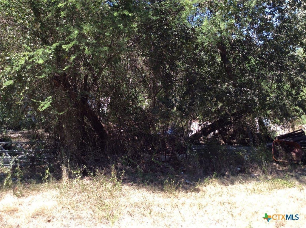 4.64 acres in DeWitt County - photo 2