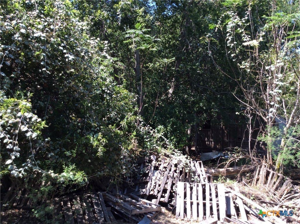 4.64 acres in DeWitt County - photo 5
