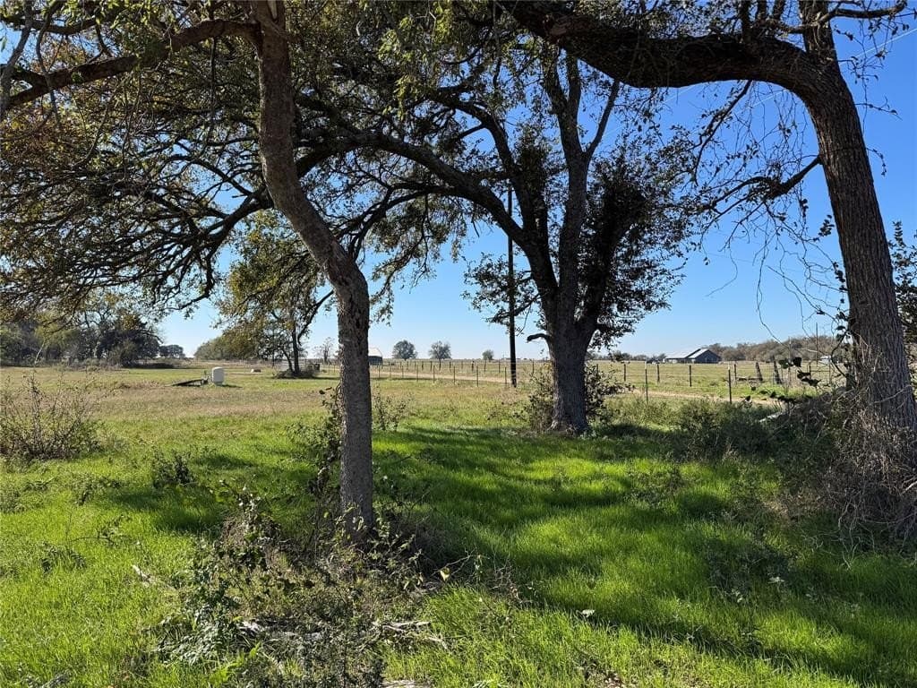 310 County Road 319