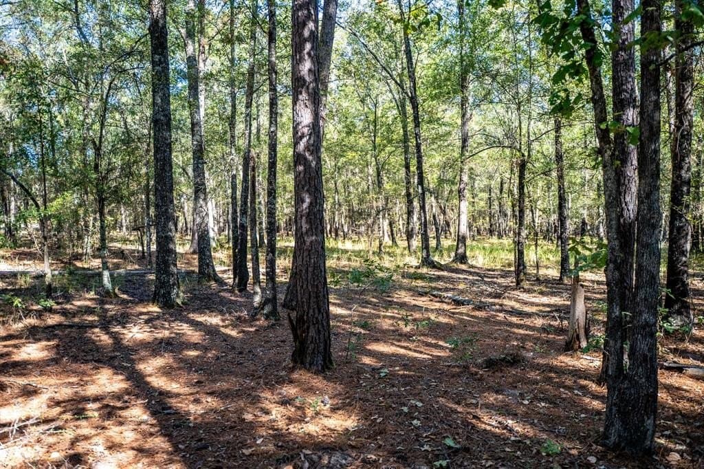 42 acres in Red River County - photo 32