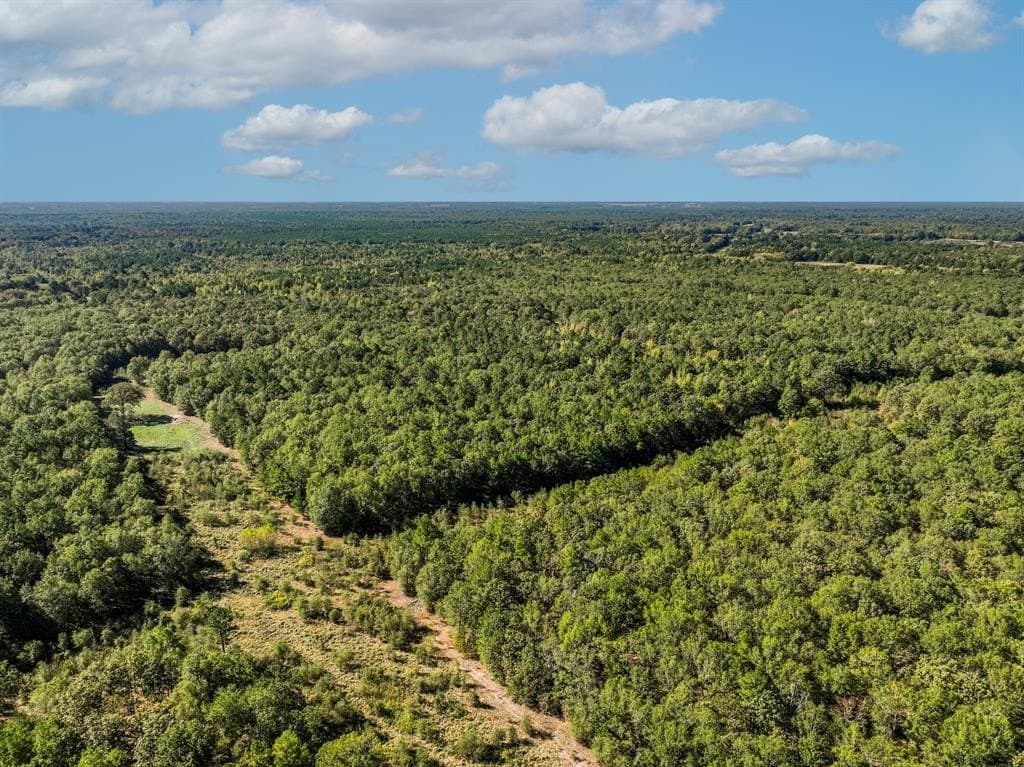 42 acres in Red River County - photo 11
