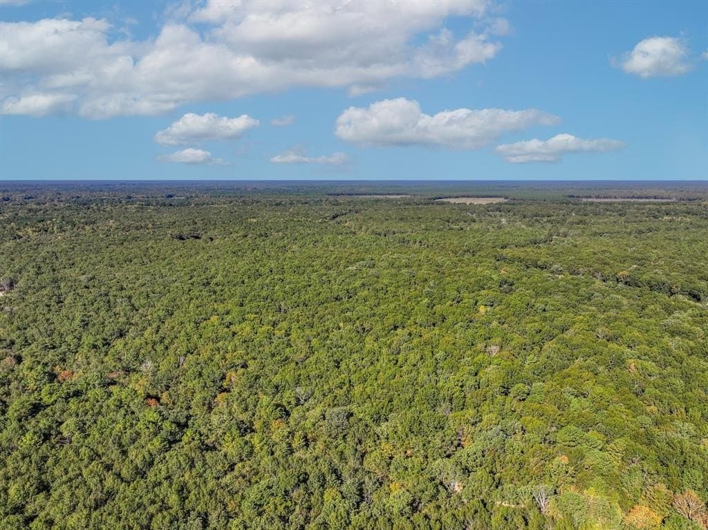 42 acres in Red River County - photo 14