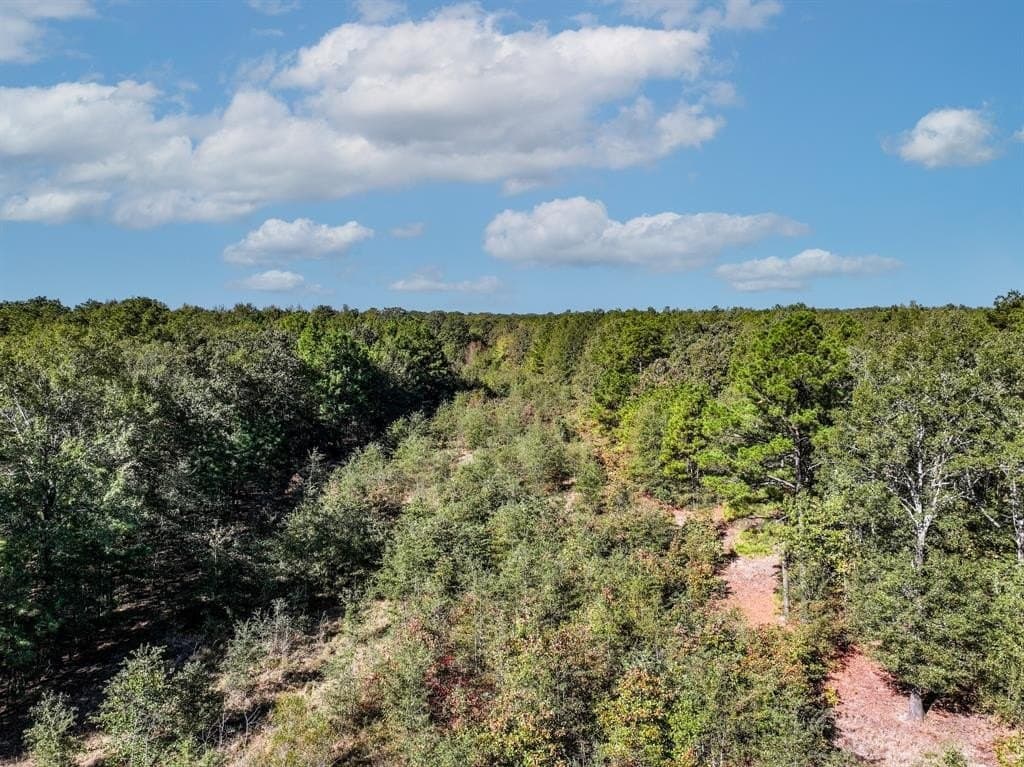 42 acres in Red River County - photo 9