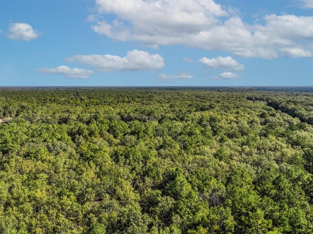 42 acres in Red River County - photo 3