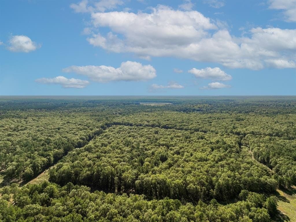 42 acres in Red River County - photo 13
