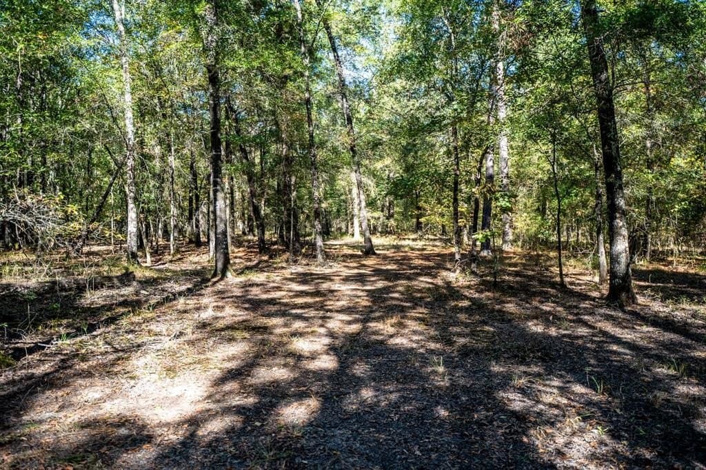 42 acres in Red River County - photo 36