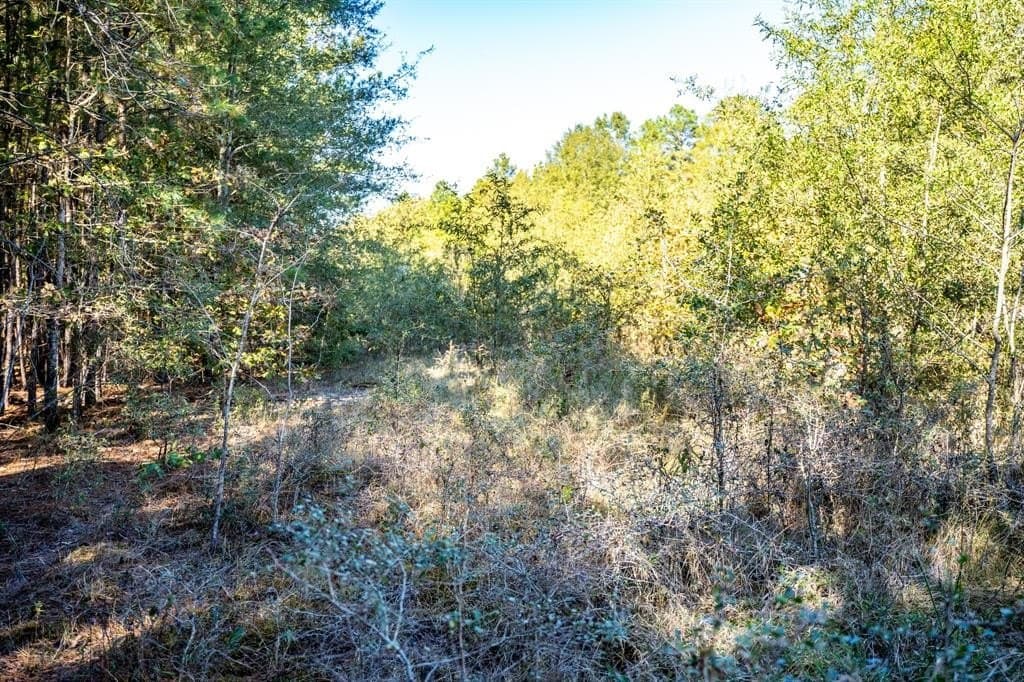 42 acres in Red River County - photo 25