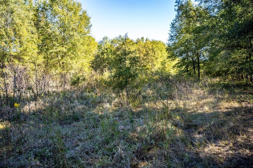 42 acres in Red River County - photo 33
