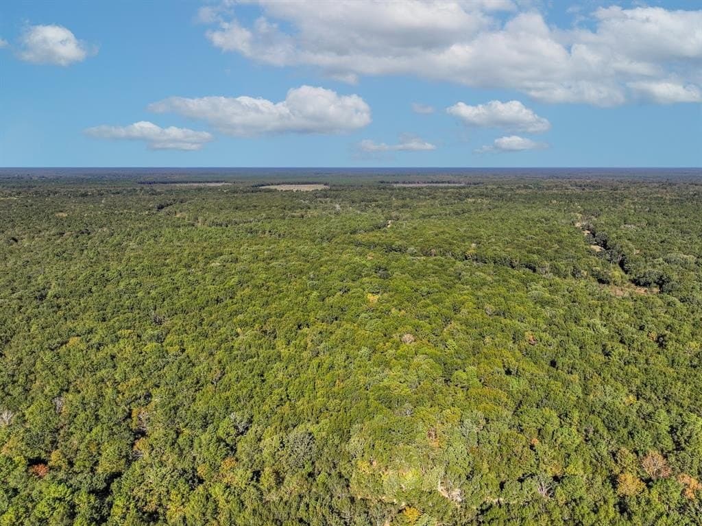 42 acres in Red River County - photo 15
