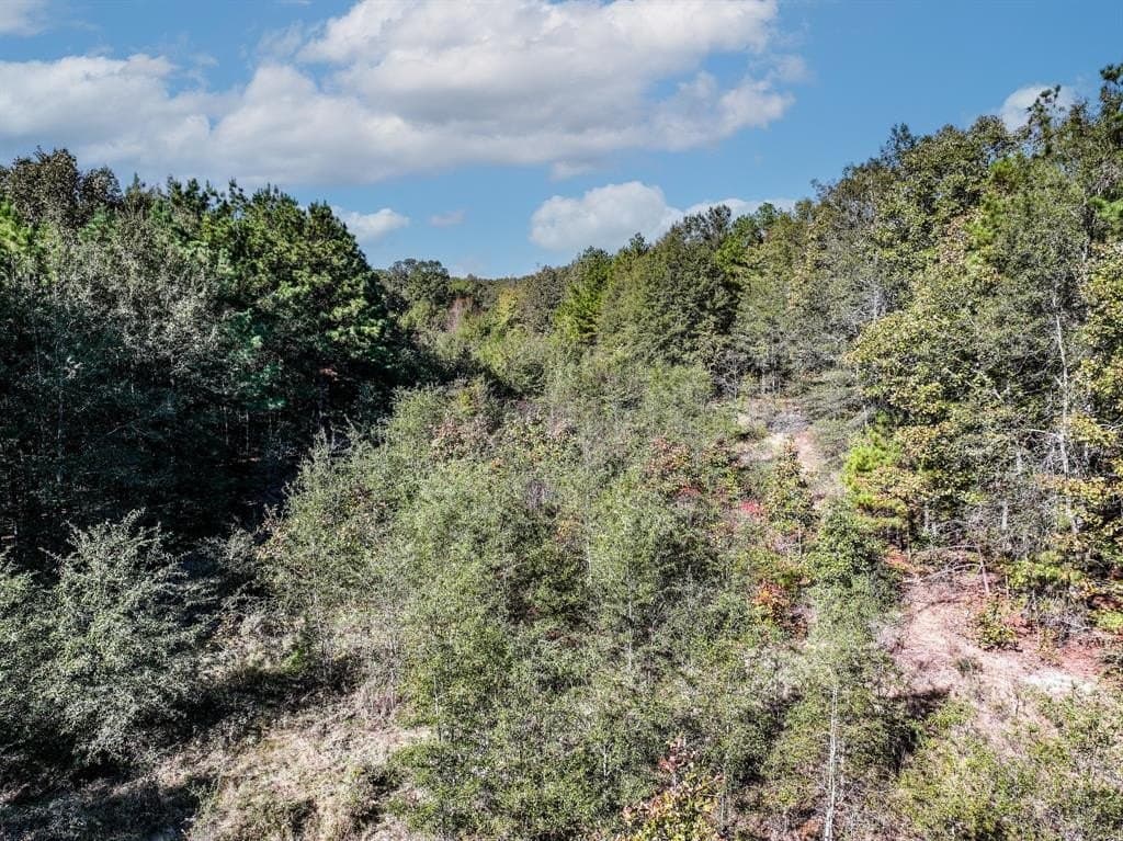 42 acres in Red River County - photo 7