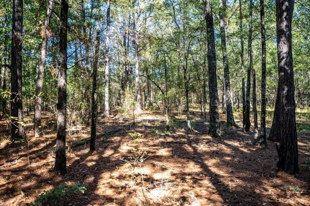 42 acres in Red River County - photo 31