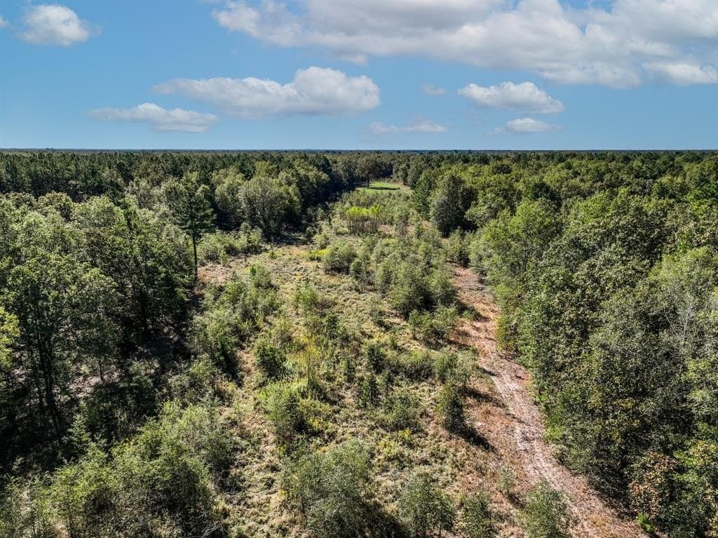 42 acres in Red River County - photo 10