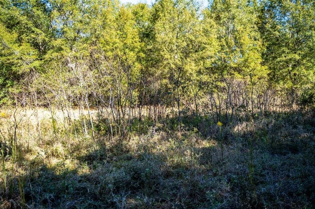 42 acres in Red River County - photo 34