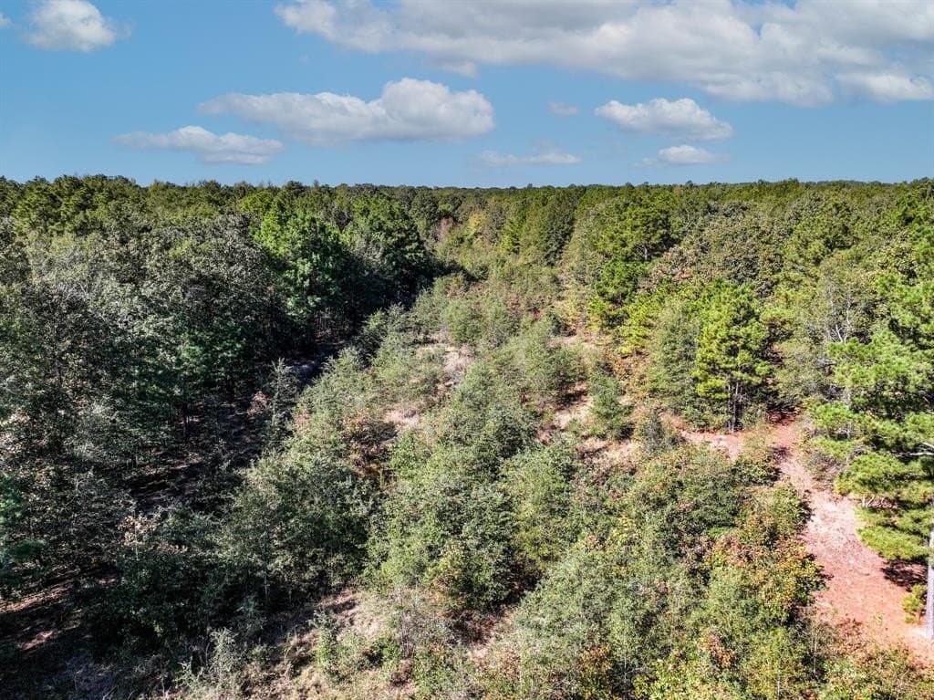 42 acres in Red River County - photo 8