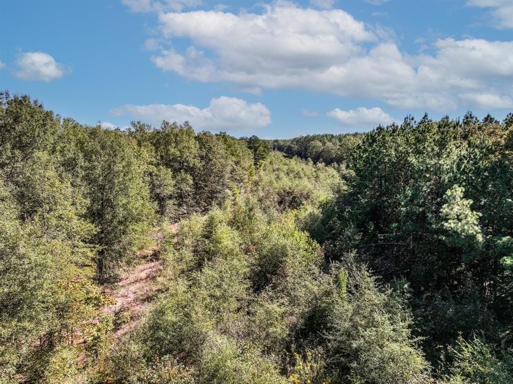 42 acres in Red River County - photo 6
