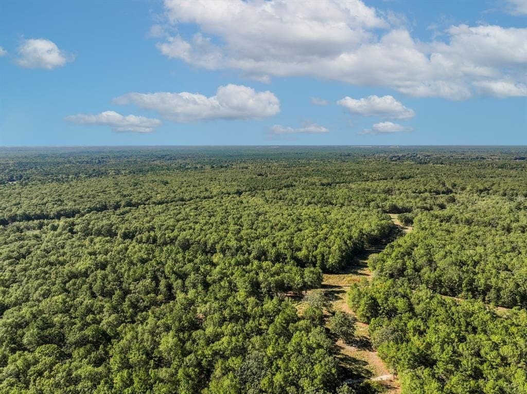 42 acres in Red River County - photo 12