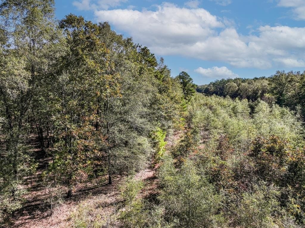 42 acres in Red River County - photo 5