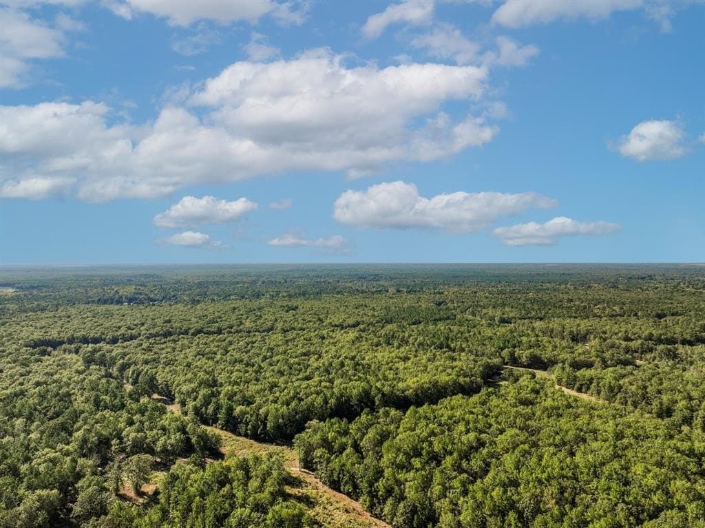 42 acres in Red River County - photo 16