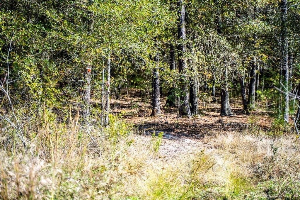 000 County Road 3235