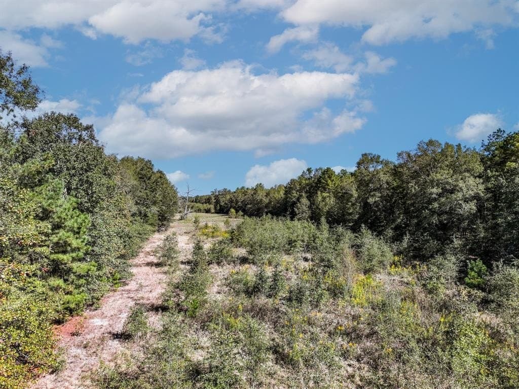 42 acres in Red River County - photo 4