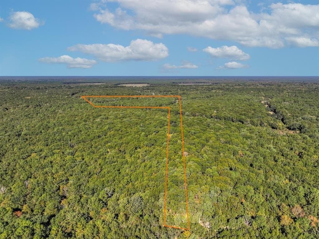 42 acres in Red River County - photo 2