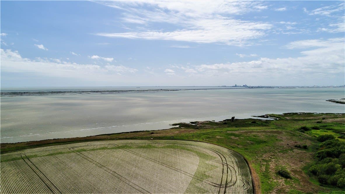 96.17 acres in San Patricio County - photo 6