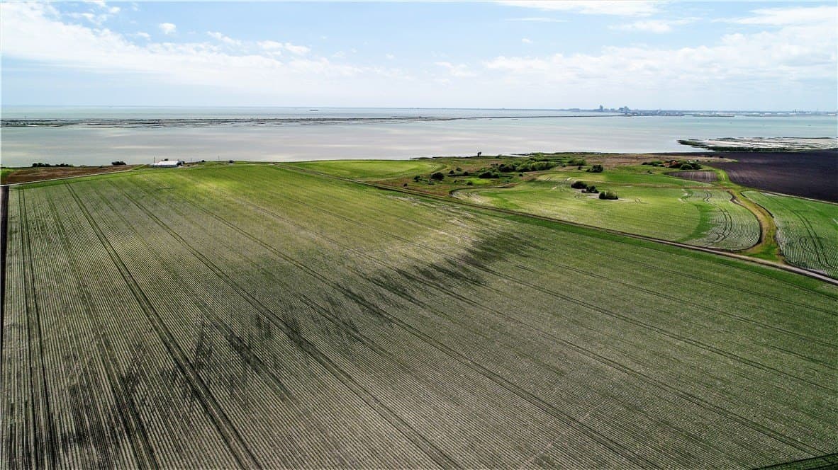 96.17 acres in San Patricio County - photo 4
