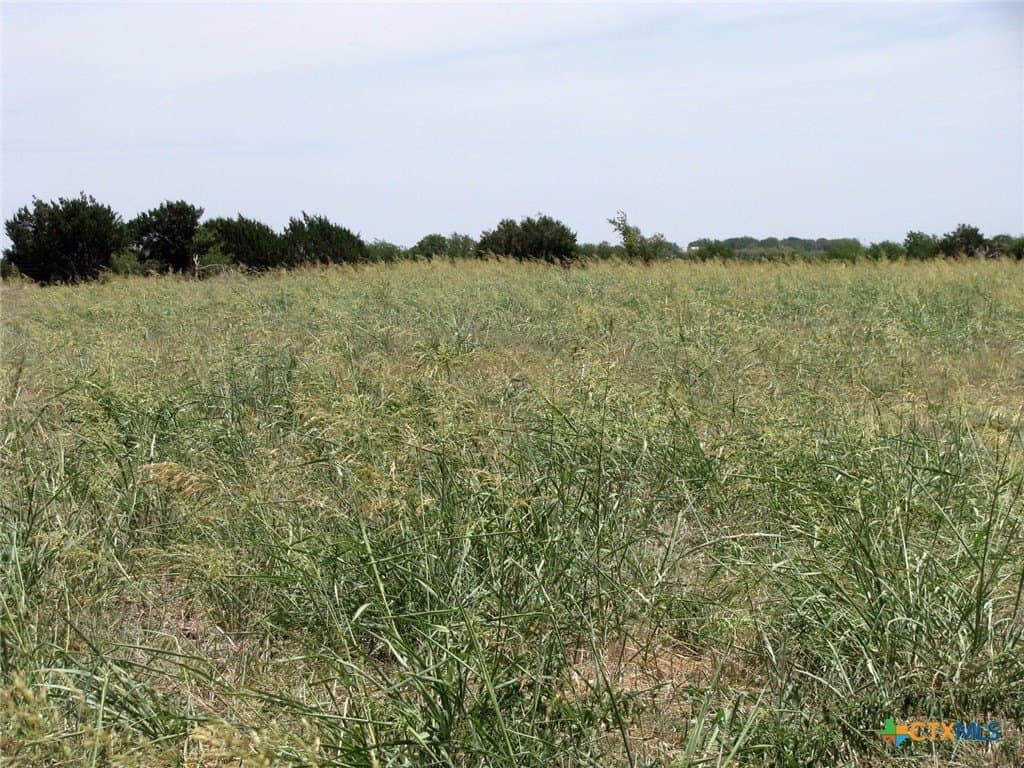 41.06 acres in Hamilton County - photo 4