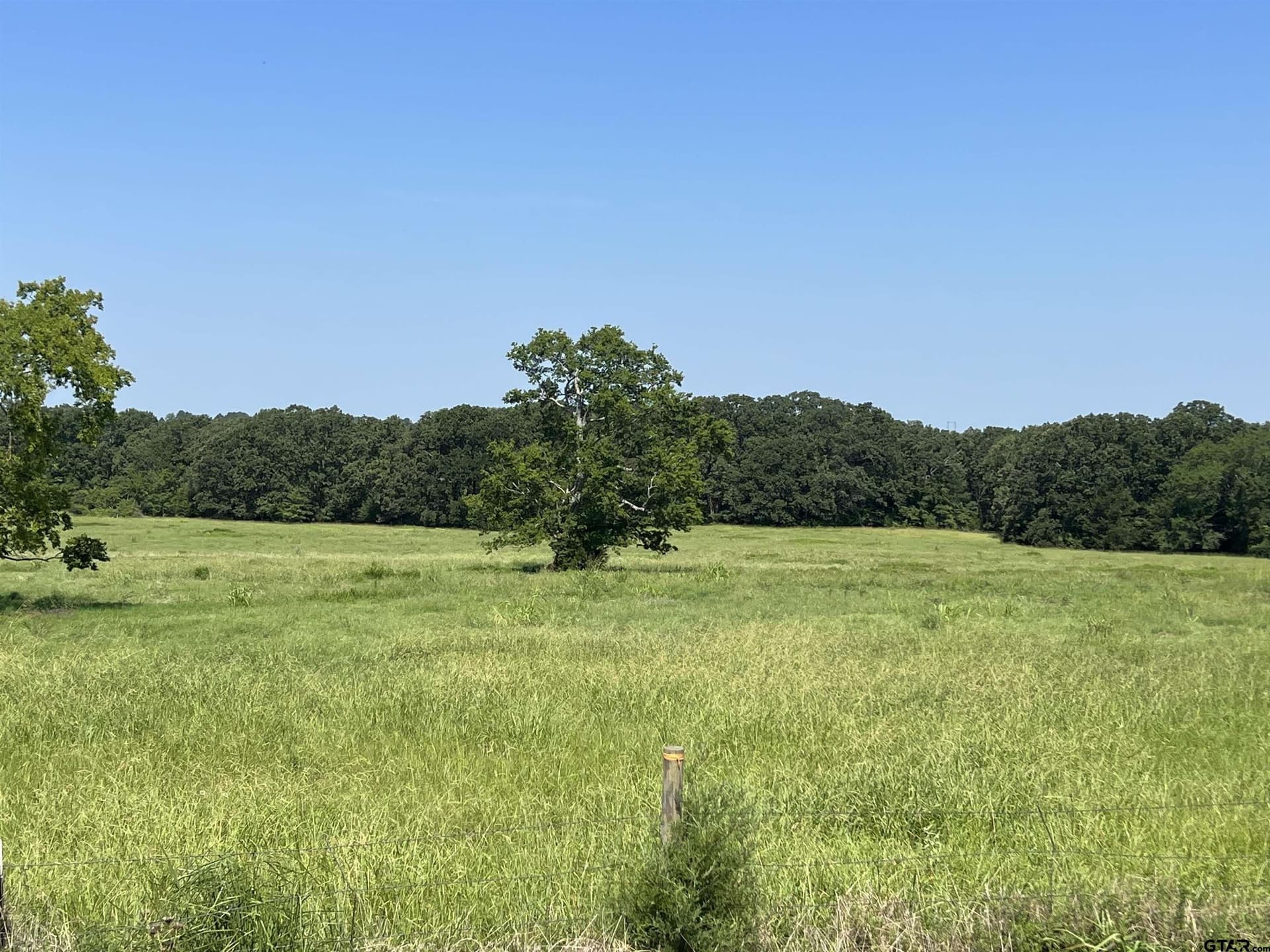 80 acres in Titus County - photo 4