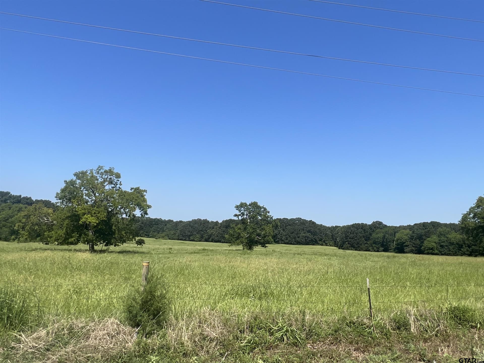 80 acres in Titus County - photo 3