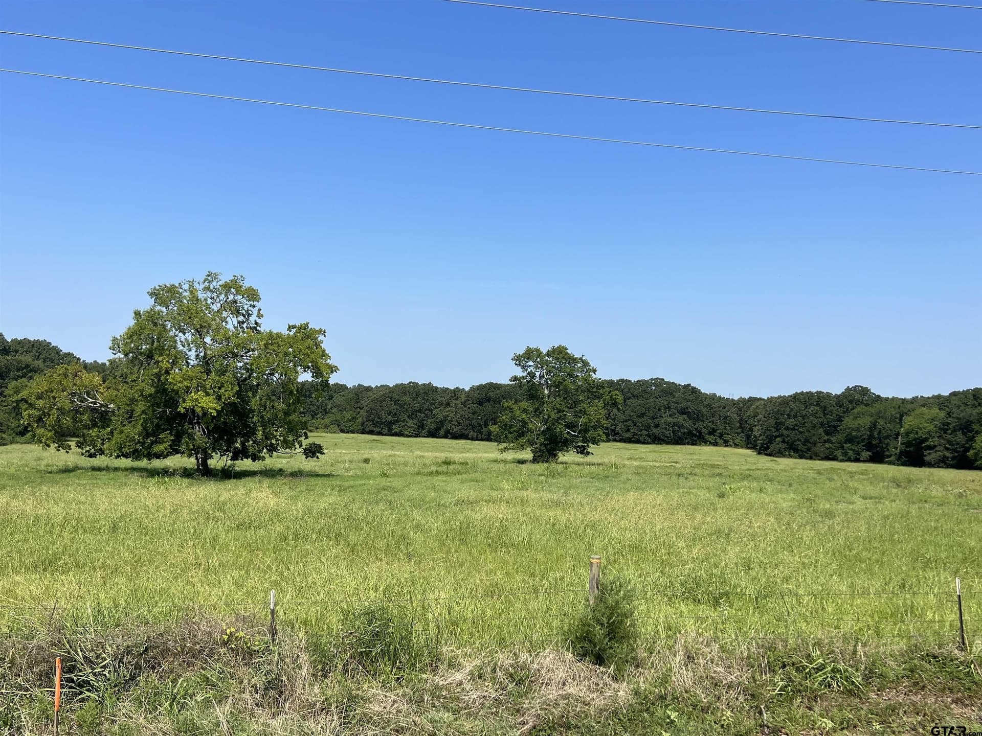 80 acres in Titus County - photo 5